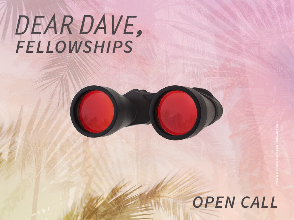 DEAR DAVE, 2023 Fellowship