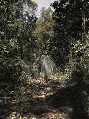 Gayatri Ganju - The Pregnant Tree © musée du quai Branly - Jacques Chirac